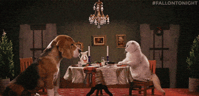 Valentines Day Love GIF by The Tonight Show Starring Jimmy Fallon