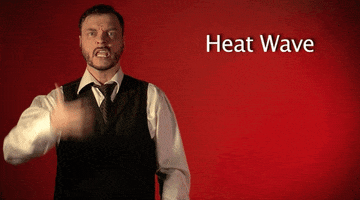 heat wave GIF by Sign with Robert