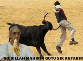sahib xeyanetkar qehbe mahir GIF