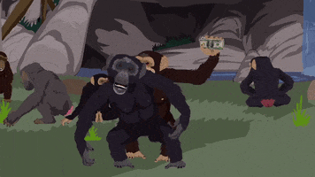 monkey chattering GIF by South Park 