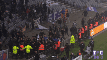 toulouse fc soccer GIF by Toulouse Football Club