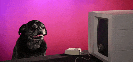 Dog Computer GIF by collin