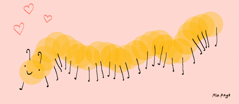 demodex