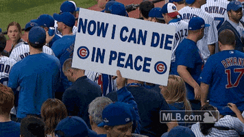 chicago cubs baseball GIF by MLB