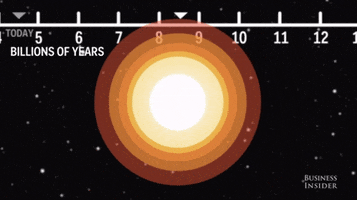 sundermier  GIF
