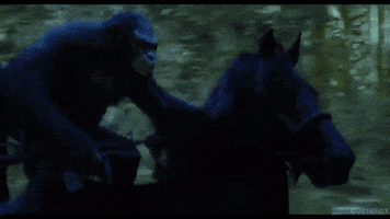 dawn of the planet of the apes GIF by 20th Century Fox Home Entertainment