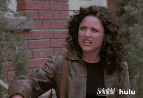 Seinfeld gif. Julia Louis-Dreyfus as Elaine furrows her brow and clenches her teeth with a look of utter disgust.