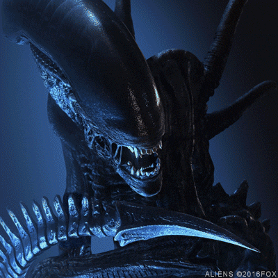 James Cameron Aliens GIF by foxhorror - Find & Share on GIPHY