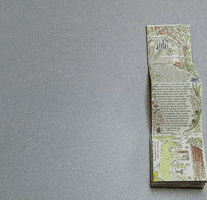 200.gif?cid=fc005b08b234e5ac269b09b719af791273be00e6eec9ce75&rid=200.gif&ct=g