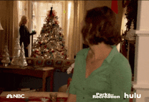 parks and recreation nbc GIF by HULU
