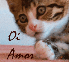 carinhoseluxogmailcom  GIF