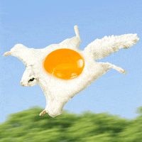 fried egg lol GIF by Justin Gammon