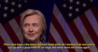 Hillary Clinton Or Our Dogs And Never Leave The House Again GIF by Election 2016