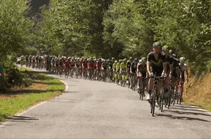 movistar_team  GIF