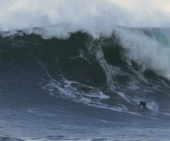 Video gif. A lone surfer rides a massive wave as it crashes down toward him.