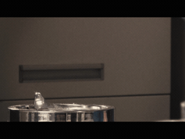 francescaoltremaremarinelli animation bug short film directing GIF