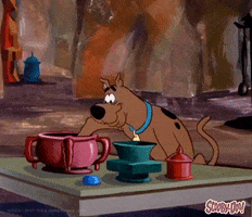 Hungry Dog Biscuit GIF by Scooby-Doo