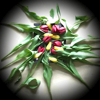 Ceskygrimm Komiksovakytice GIF