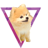 Dog Loop Sticker by Puppies Make Me Happy