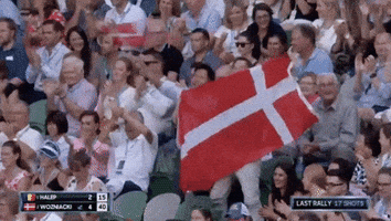 Danish Flag Tennis GIF by Australian Open