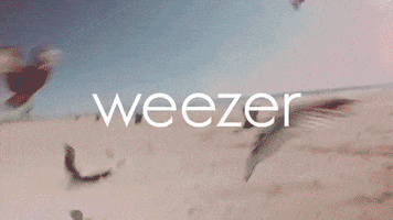 music video california kids GIF by Weezer