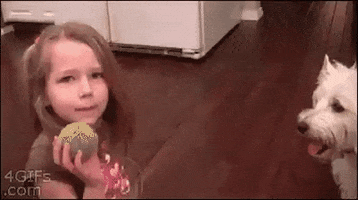 chandler  GIF