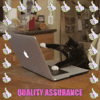 quality assurance qa GIF by chuber channel
