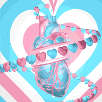 200.gif?cid=f0bdee70xvu9tf26t4eksl69xhno6m2kwg2w8uj1bh9re12c&rid=200.gif&ct=g