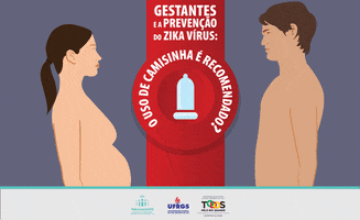 telers dengue zika aedes chikungunya GIF