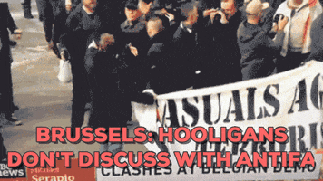 rolandwurther brussels belgique antifa hooligans GIF