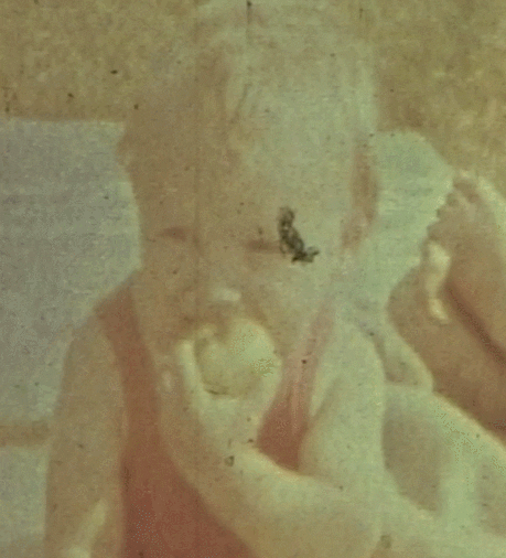 maksymsavanevsky  GIF