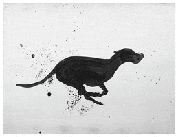 rayo galgo can dog GIF