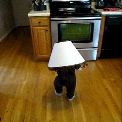 Video gif. A toddler with a lampshade on their head stumbles blindly, running into a stove, falling down.