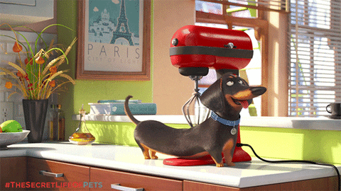 massage GIF by The Secret Life Of Pets