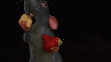 vd strawberry jahoda cheese syr taste chut GIF