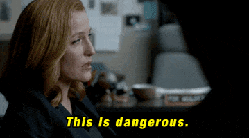 gillian anderson GIF by The X-Files
