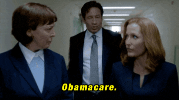 gillian anderson obama GIF by The X-Files