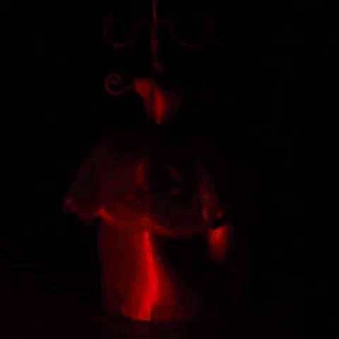 arieluna  GIF