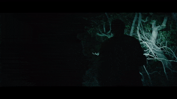 liarsliarsliars light search river searching GIF