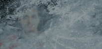 #Koelnerhaie #Del #Torschuetze GIF by Kölner Haie