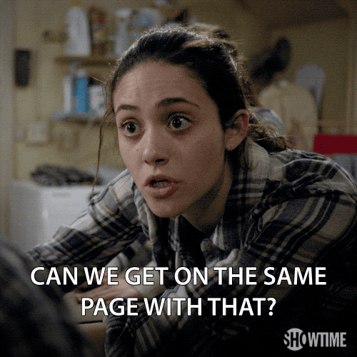 Season 3 Showtime GIF by Shameless