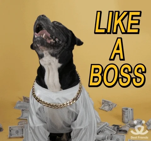  dog money boss best friends make it rain GIF