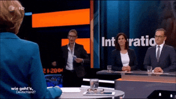 karen__71 alice afd weigel flucht GIF