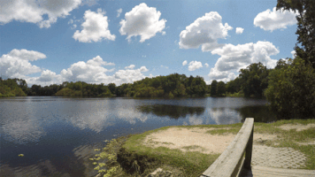 clouds lake GIF by University of Florida