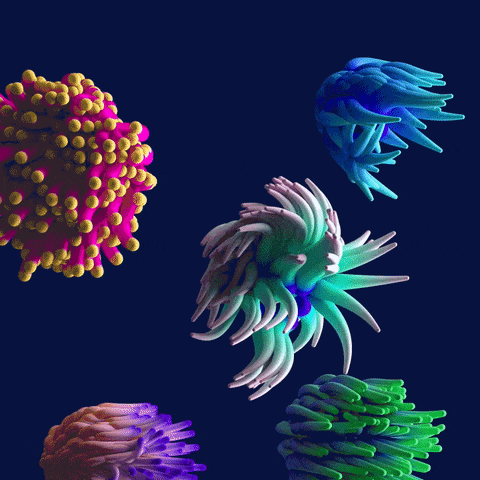 3d anemone GIF by Clara Terne