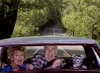 Toonces-driving-cat-drive-car GIFs - Get the best GIF on GIPHY