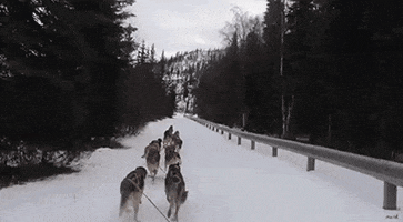 200.gif?cid=fc005b082cdf34843b50480fa6d9895314bd1e0b0783e99f&rid=200.gif&ct=g
