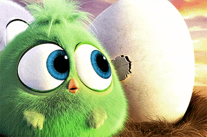 angrybirds no thanks hatchlings unsolicited well actually GIF
