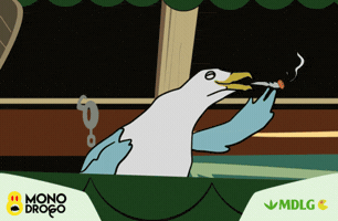 Drake007 paloma mono drogo monodrogo monkey drugs GIF