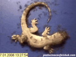 malzeme  GIF
